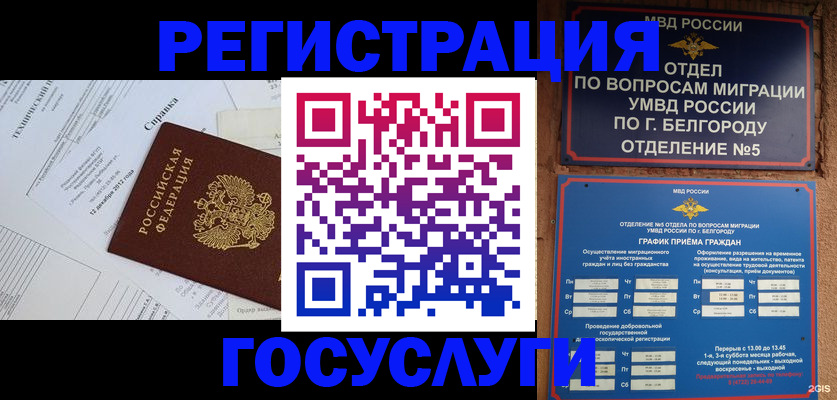 временная прописка в Чаплыгине